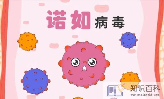 诺如病毒衣服会携带病毒吗1