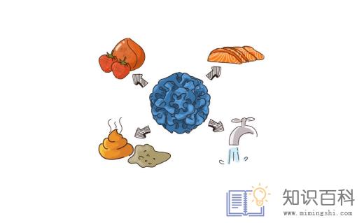 诺如病毒衣服会携带病毒吗2