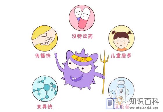 诺如病毒衣服会携带病毒吗3