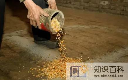 正月二十五能缝东西吗2