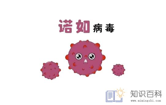 诺如病毒高发期是哪个季节1