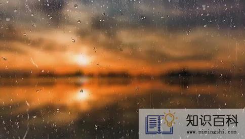 2023年是水兔年多雨吗1