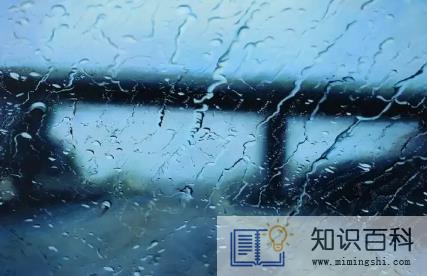 2023年是水兔年多雨吗3