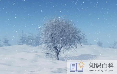 2023年北京2月份会下雪吗2