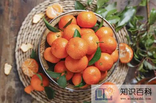 砂糖橘有籽好还是无籽好2