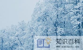 2023大雪节气下雨来年什么兆头3