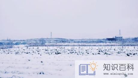 2023年1月上海会下雪吗3