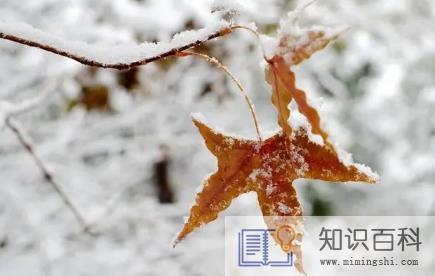 合肥2023年春节会下雪吗2