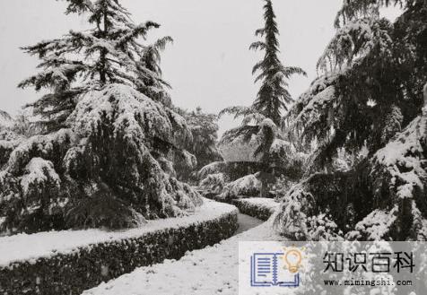 2023年哈尔滨1月份会下雪吗2