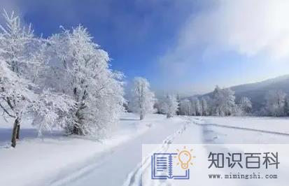 2022年大连11月会下雪吗1