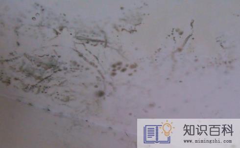 板楼的房子漏雨吗2