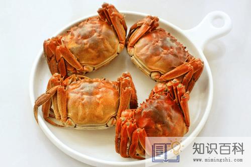 螃蟹里面有白色的果冻一样的是什么2