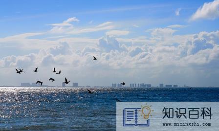 2022青岛10月份的天气怎么样2