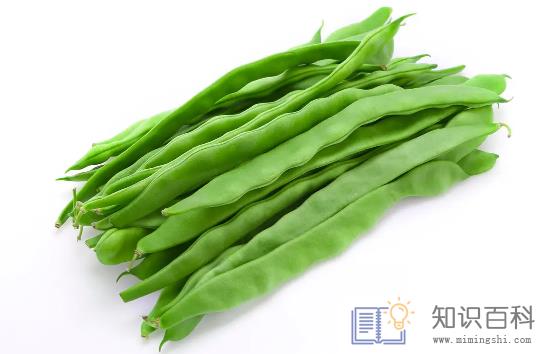 扁豆角的功效和作用及禁忌3