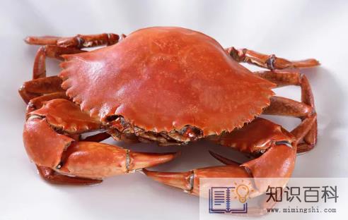 青蟹和大闸蟹是一个品种吗2