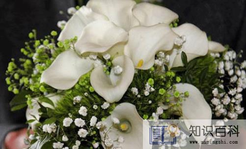 男方娶亲当天手捧花必须要准备吗3