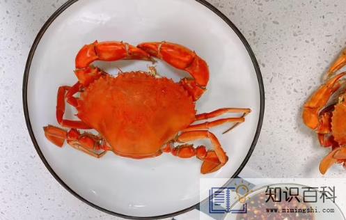 青蟹和梭子蟹哪个更好吃1