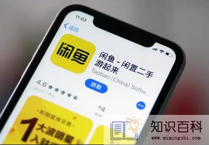 闲鱼被禁言能不能解封3