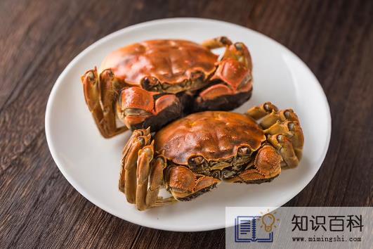 梭子蟹和大闸蟹哪个胆固醇高1