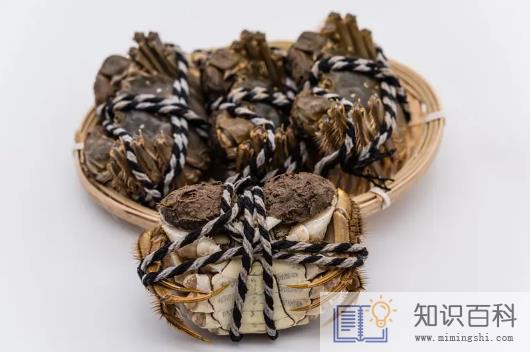 梭子蟹和大闸蟹哪个胆固醇高2