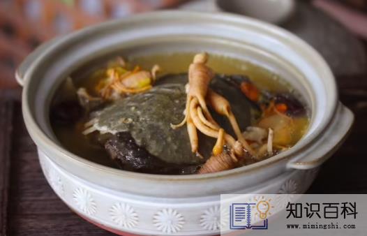 甲鱼汤怎么做好喝又营养1