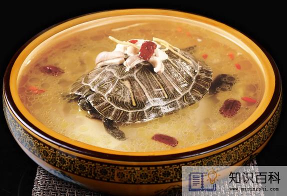 甲鱼汤怎么做好喝又营养3