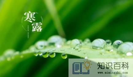 2022年寒露后气温会下降吗3