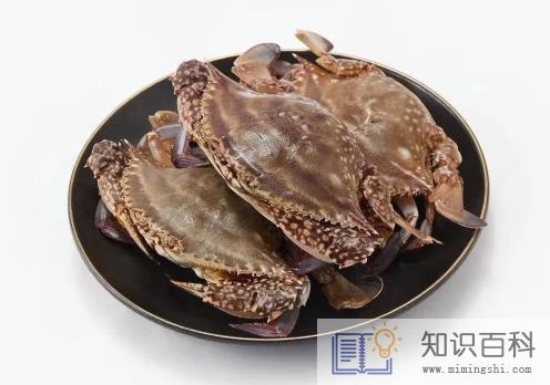 冷冻梭子蟹解冻要多长时间2