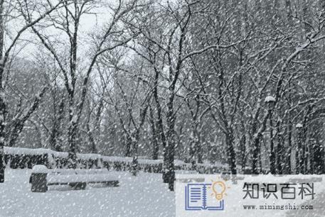 ​2022年武汉11月会有雪吗3