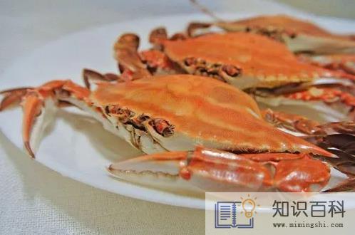 梭子蟹除了腮还有什么不能吃2