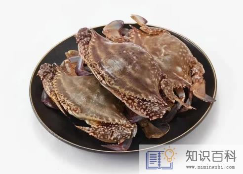 梭子蟹洗好后可以放冰箱冷藏吗2