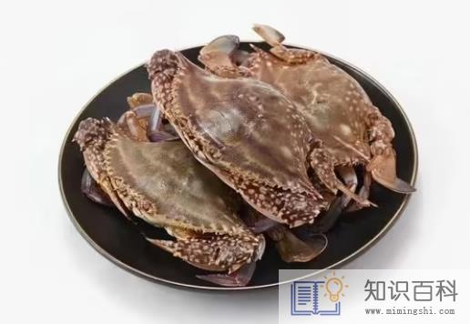 梭子蟹怎么看空不空壳3