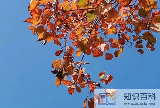 2022年国庆节温度高还是低2