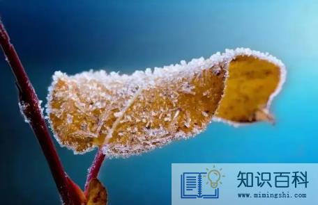 2022年立冬当天冷好还是热好1