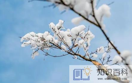 2022年立冬当天冷好还是热好2