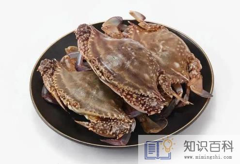 梭子蟹买多大的合适2