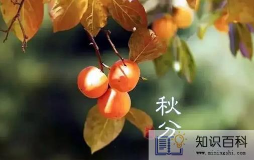 2022年秋分节气在南方热不热3