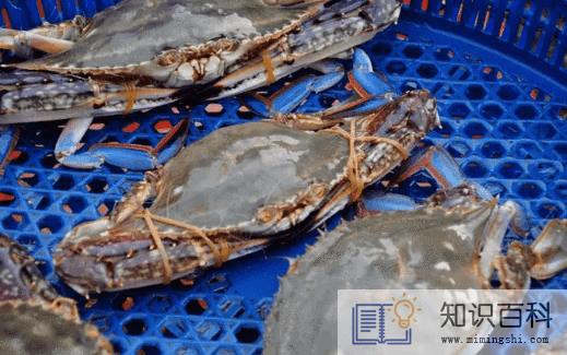 坐飞机可以带梭子蟹吗2