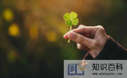 2023年兔年旺月是几月2