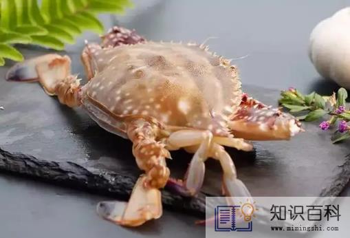 梭子蟹买回来没多久就死了可以吃吗2