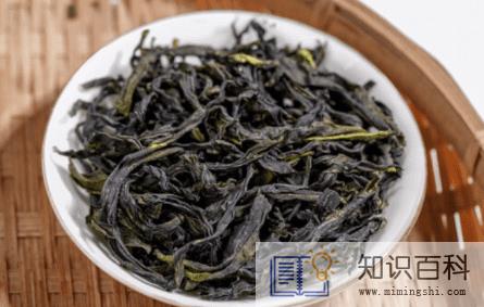 鸭屎香新茶好还是老茶好3