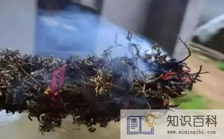 搬家要用艾草熏屋子吗2