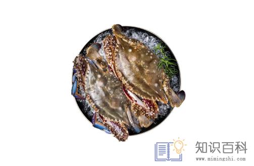 一只梭子蟹大概多重2