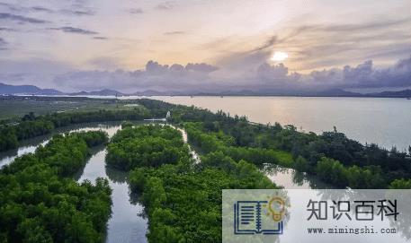 2022广东省中秋节高速公路免费吗1