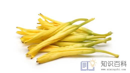鲜黄花菜含有什么毒素3