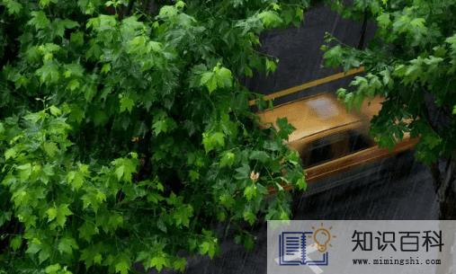 人工降雨的水可以喝吗3