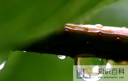 今天下雨是人工降雨吗2