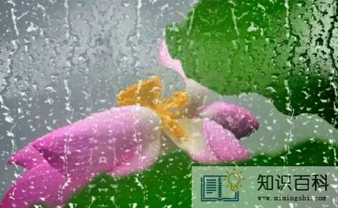 今天下雨是人工降雨吗3