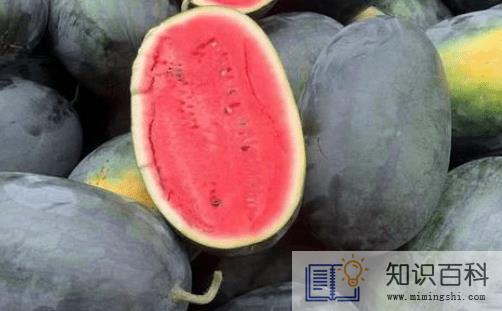 黑美人西瓜有毒吗能不能吃3