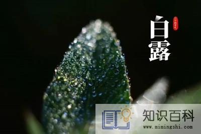 2022年白露节气是农历几月几号3